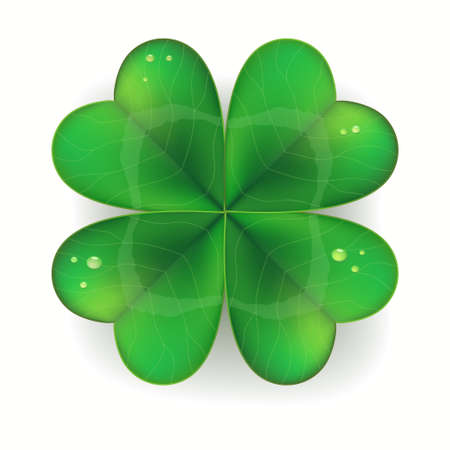 Clover shamrock realistic, Saint Patricks Day symbol. vector illustrationのイラスト素材