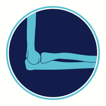 Elbow Joint Anatomy. Skeleton bone structure. medical education. Vectorのイラスト素材