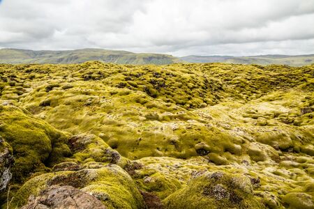 Icelandic fields of lava covered with moss panorama, South Icelandの写真素材