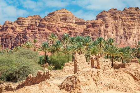 Al Ula ruined old town streets with palms along the road, Saudi Arabiaの写真素材