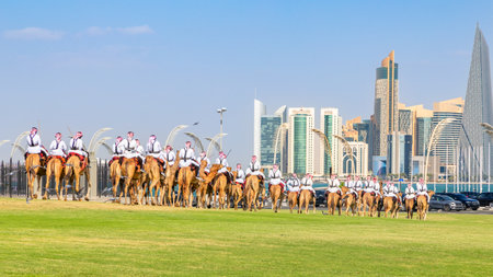 Royal camel guards parade against Doha futuristic business downtown center skyline with sea guld in...
