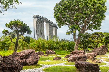 Green park full of trees and stones and modern building in the background, Singapore