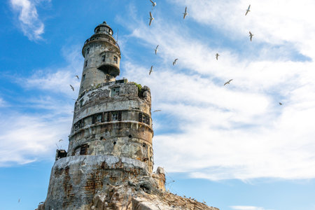 Close upward view of abandoned Japanese Aniva Lighthouse on Sakhalin, Russia with rusted concrete walls and seabirds on rocky foregroundの写真素材