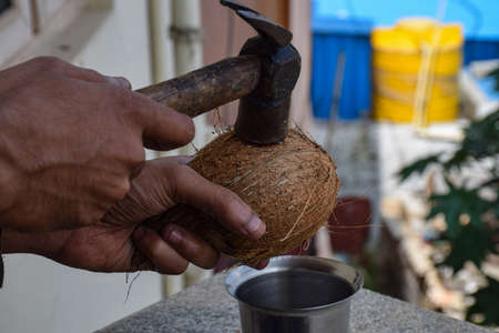 A man breaking raw coconut from hammer