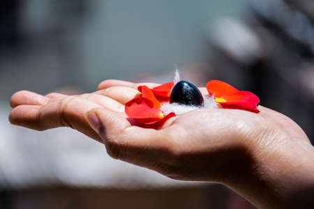 a man holding and worshiping shivlinga which is icon of lord shiva on the occasion of mahashivratri , flowers around the shivlinga in bright sunlight at Bangalore city karnataka India.の写真素材