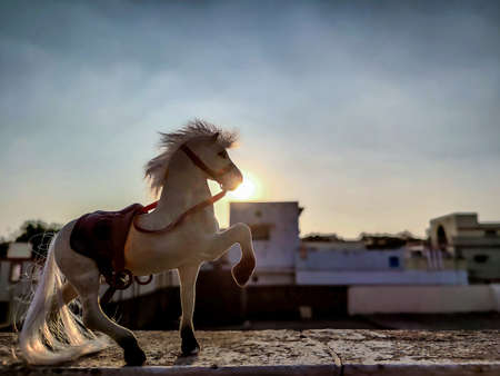 Stock photo of white color plastic horse toy kept on floor under bright sunlight on blur background at Gulbarga Karnataka India.の写真素材
