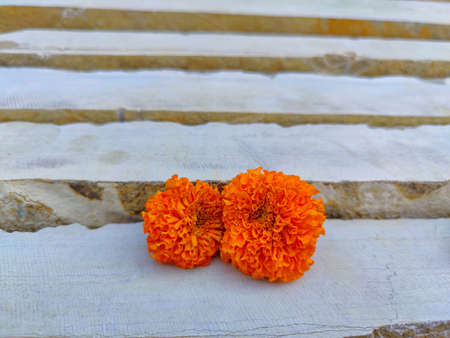 Stock photo of orange color two marigold flower kept on white painted wooden strips at Gulbarga,...