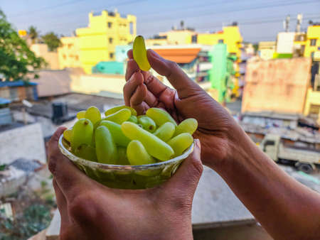 Stock photo of a women hand holding bowl of ripe, testy, natural and organic green grapes on blur...