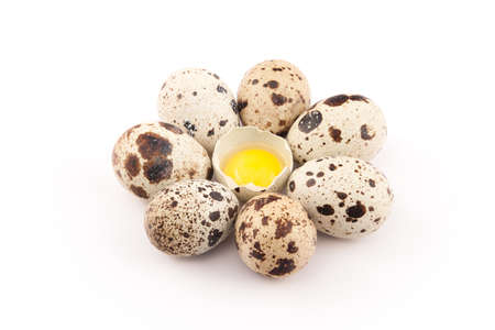 quail eggs isolated on white backgroundの写真素材