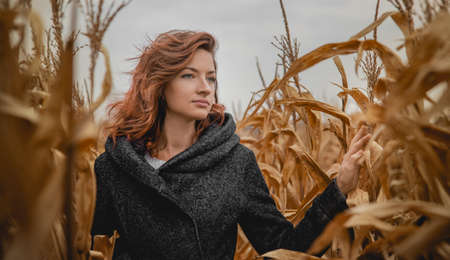 Girl with red curly hair in a gray coat with a collar in a yellow corn field against a gray skyの写真素材