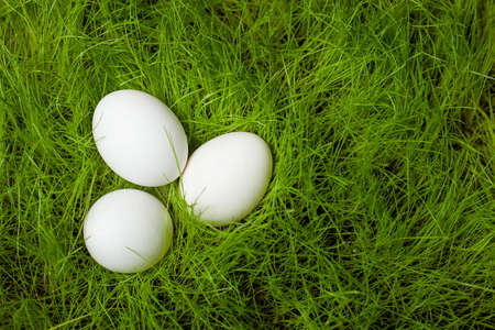 Three white Easter eggs on the lawn in the green grass