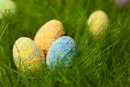 Colored Easter eggs on the lawn in the green grass