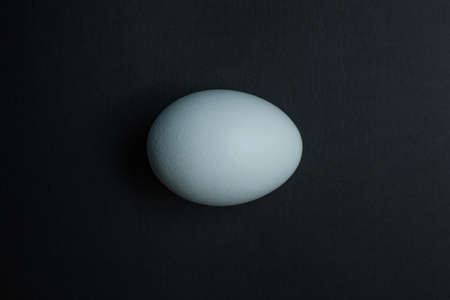 White chicken egg isolated on black background.の写真素材