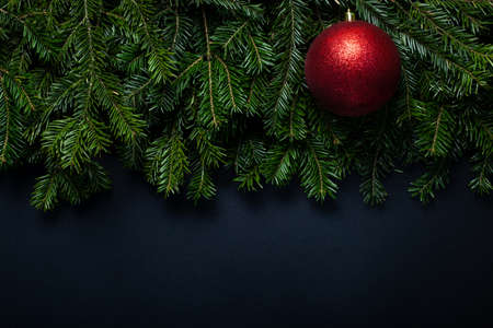 Red shiny ball on Christmas tree branches on a black background with place for text