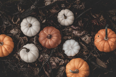 Candle in the shape of a pumpkin on a background of leaves and moss in the forestの写真素材