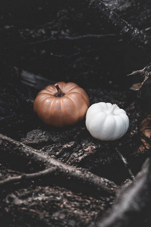 Candle in the shape of a pumpkin on a background of leaves and moss in the forestの写真素材