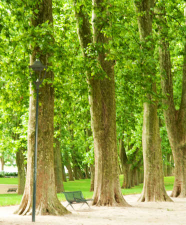 countrysideの写真素材