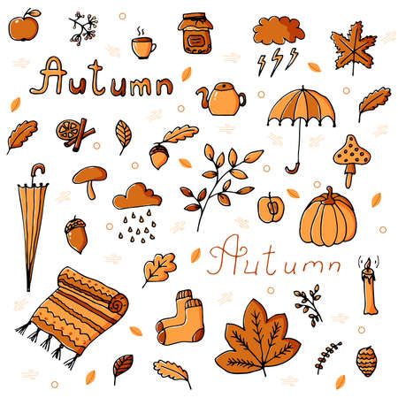 Autumn set in orange and brown tones with various fall items. Can be used for backgrounds, wallpapers, create patterns or compositions, or decorate printed matter. Vector illustrationのイラスト素材