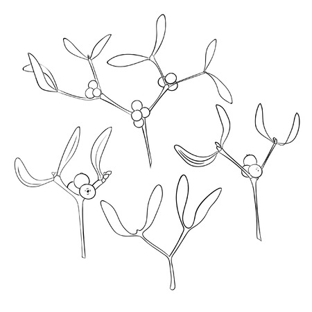 Set of four branch of hand drawn mistletoe in black on white. Christmas hand drawn elements. Vector illustrationのイラスト素材