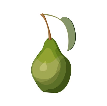 Green pear on white background vector illustrationのイラスト素材