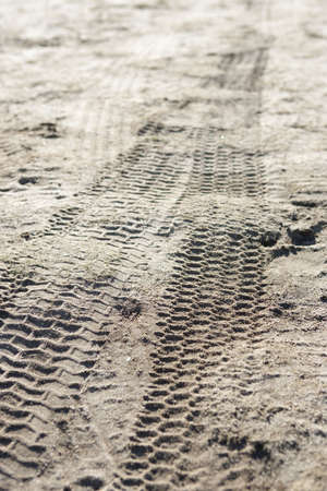 Tire Tracks Through Dusty Pathの写真素材