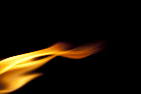 Wild Small Flame