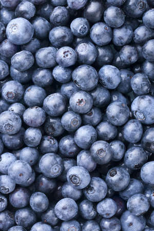 Blueberries filling entire frame. Critical focus on one layer of top blueberries.の写真素材