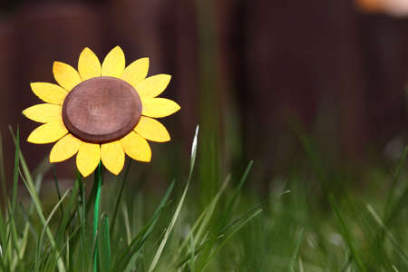 Flowerの写真素材