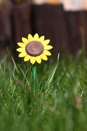 Flowerの写真素材