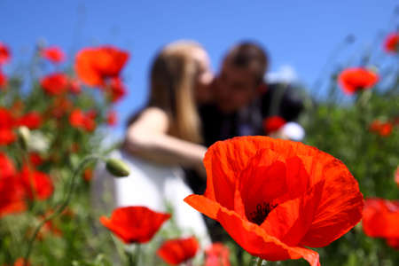 	 Lovers on a meadowの写真素材