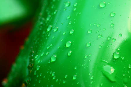 Swimming poolの写真素材