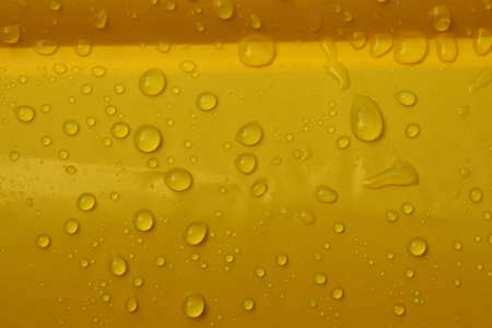 Swimming poolの写真素材