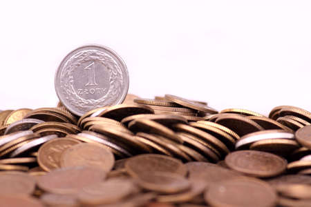  	Polish currencyの写真素材