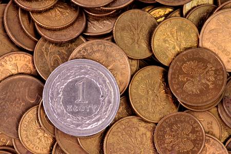 Polish currency on white background