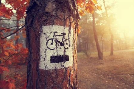 Sign bike path in the misty autumn colored forestの写真素材