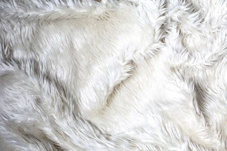 white fur backgroundの写真素材