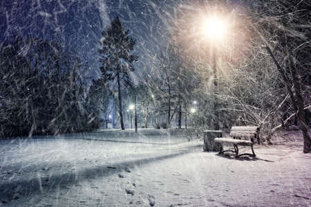 Winter wonderland evening in a parkの写真素材