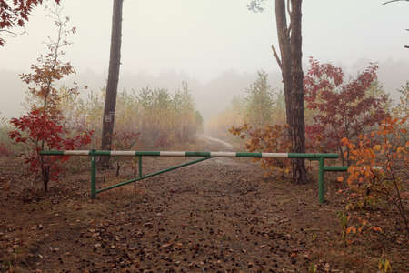 Colorful autumn landscape view