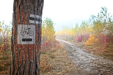 bicycle path outside the cityの写真素材