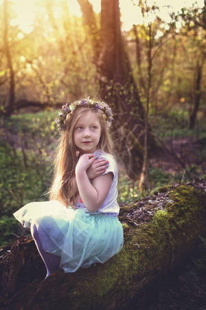 Young girl sitting on the trunk in the forestの写真素材