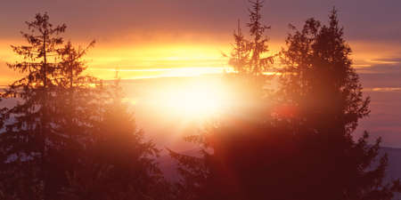 beautiful and colorful sunset sun