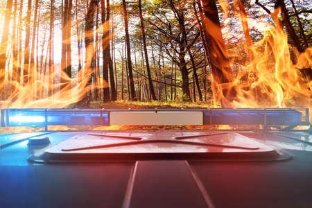 fire in the forest and intervention of the fire brigadeの写真素材