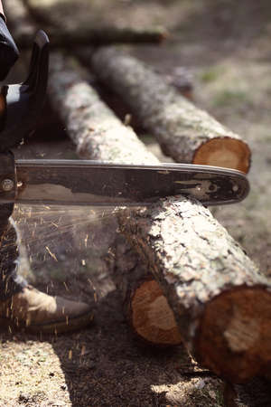 lumberjack man cuts a tree into pieces at a sawmill