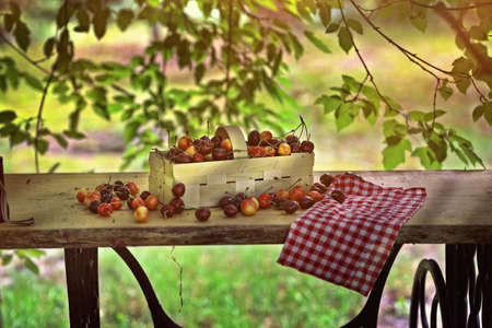 Delicious and healthy and dietary cherriesの写真素材