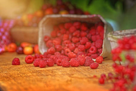 juicy raspberries and cherries on a sunny day in a green gardenの写真素材