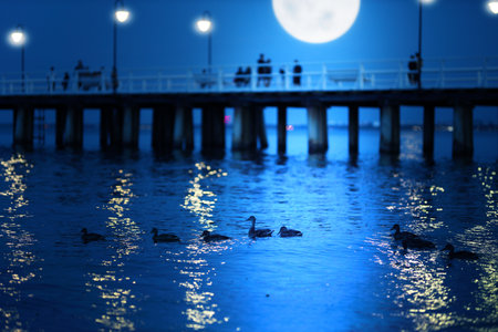 view of the pier in Gdynia City in polandの写真素材