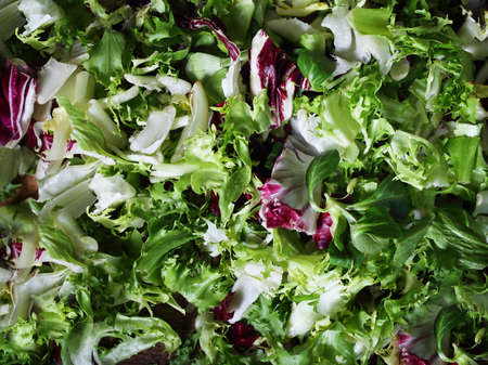 background with delicious mixes of lettucesの写真素材