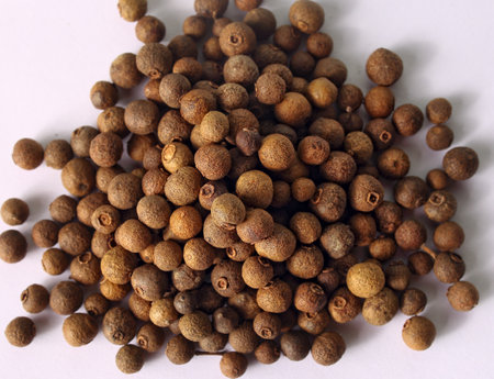 aromatic allspice on a white backgroundの写真素材