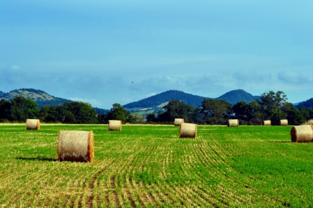 plain landscape in France wasの写真素材