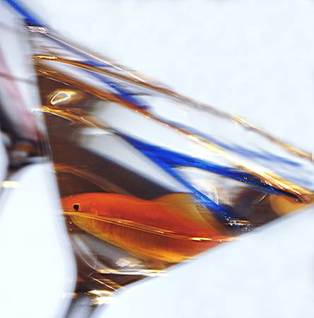 mixed drink 1の写真素材